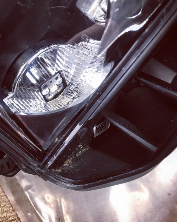 62989C3B-3415-496C-B2BD-CFBFC2556EBB.thu