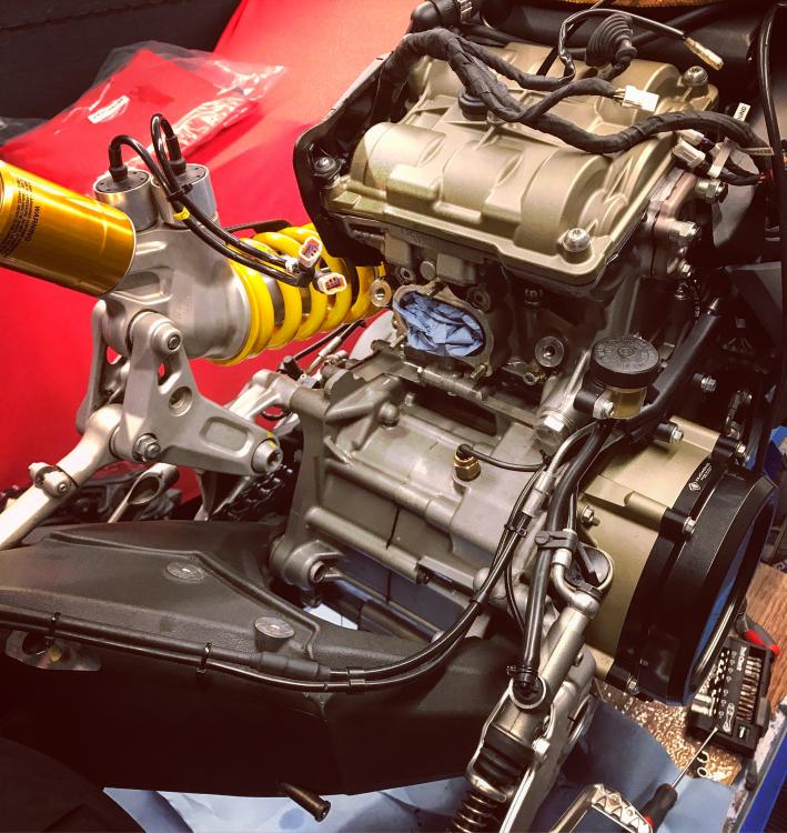 9FF407DB-41A5-42FA-995F-4B171881ECD3.thu