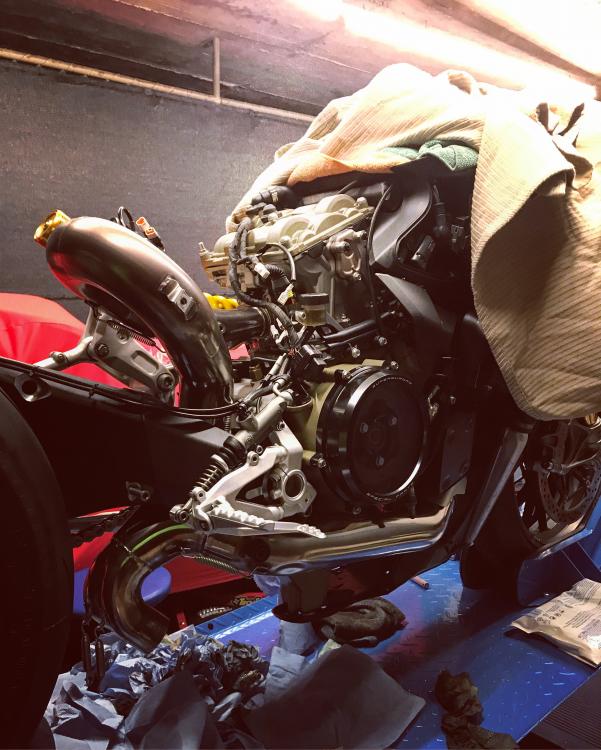 D824CD68-9B0B-458F-8D35-645C79A31795.thu