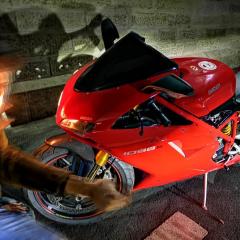 Stfn.36