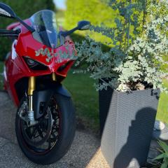Pizza_Panigale