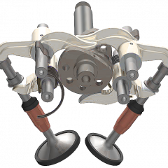 Desmo Topschi