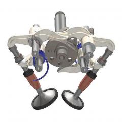 Desmo Topschi